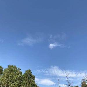 为梦想奋斗