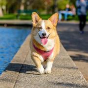 bazzi916的个人资料头像