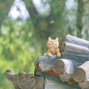 咔哧咔哧的个人资料头像