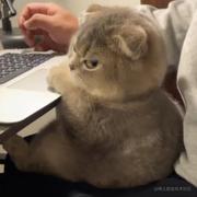 用户1766083849509的个人资料头像