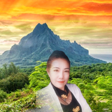 妞妞毛毛的妈头像
