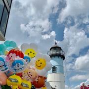 Alexander242的个人资料头像