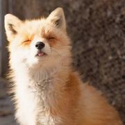 用户7491291127001的个人资料头像