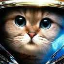 诺诺猫的个人资料头像