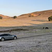 开坦克的沃尔沃车头像