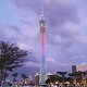 临海仙2019头像