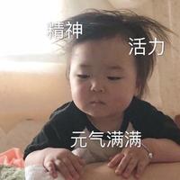 小狗哼哼呀头像
