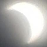 吾姓丶免贵张头像