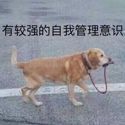 当时很慌_害怕极了的个人资料头像