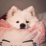 hz478的个人资料头像