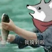 路过跑堂的个人资料头像