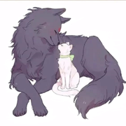 SunShineSmlie的个人资料头像