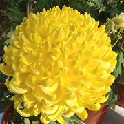 忙里偷闲乐的个人资料头像