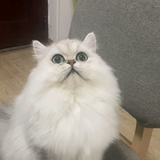 名字要长一点才好头像