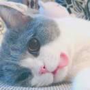 夏睿佶的个人资料头像