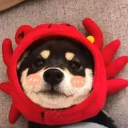 Liko的个人资料头像