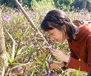 进阶小王的个人资料头像