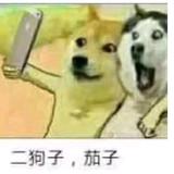 双离合套件头像