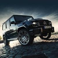 喜庆的风筝sS头像