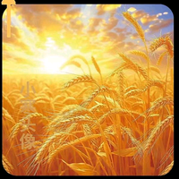 虎赢在学习胜在改变头像