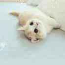 小艮坤的个人资料头像