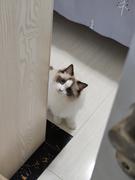 喝二两啤酒的个人资料头像