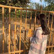 Cindy869的个人资料头像