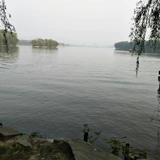 用户9167124978802头像