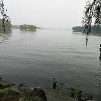 用户9167124978802头像