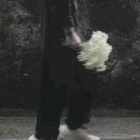 稳月ギ浪客头像