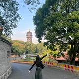 魔法梦想k80头像