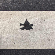 四十四的个人资料头像