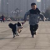 良歌头像
