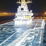 攻城狮彡头像