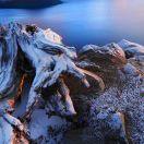 undefined的个人资料头像