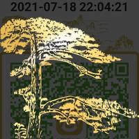 太平阿飞哥头像