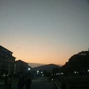 不想再熬夜的个人资料头像