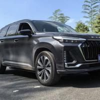 潇洒可乐不加糖头像