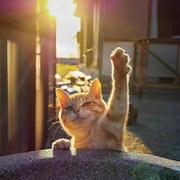 墨痕600的个人资料头像