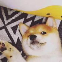 未及回复จบ头像