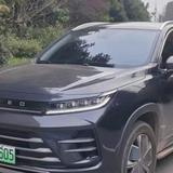 石光后的鱼头像