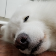 曾俊霖的个人资料头像