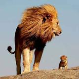 看看天空397头像