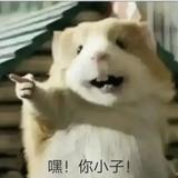 讲滴敢过野头像