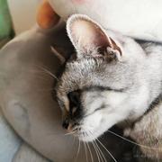 爱学习的小zZ的个人资料头像