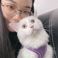 浙江金恒德汽车物流广场岳森汽车用品商行头像