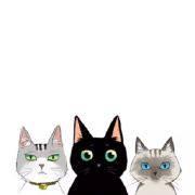 的撒阿斯顿阿斯顿阿斯顿阿斯顿的个人资料头像