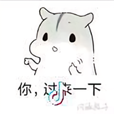 zhan19958888头像