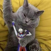 荔枝创业记的个人资料头像