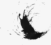 虚假明媚的真的个人资料头像